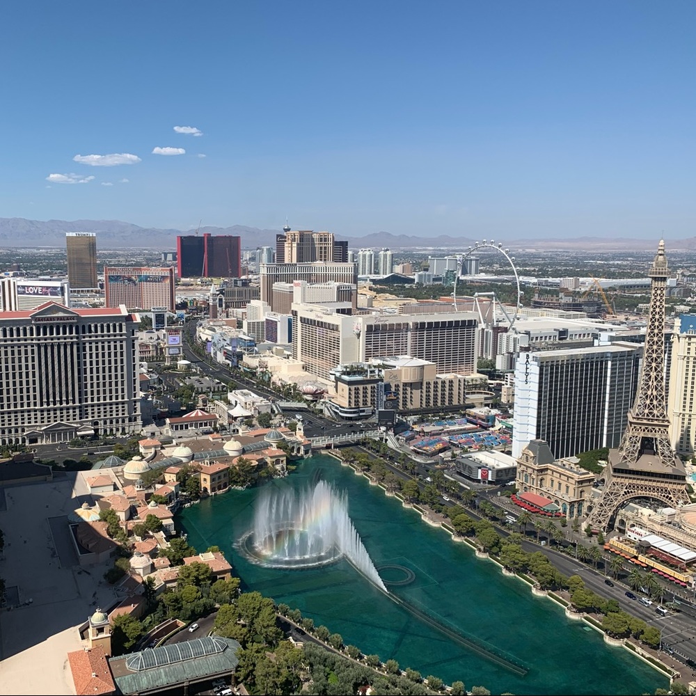 Meet your Posher, Michelle